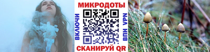 Псилоцибиновые грибы Psilocybe  Люберцы 